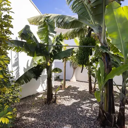 Vakantiehuis Amazing, Sea Views & Terrace