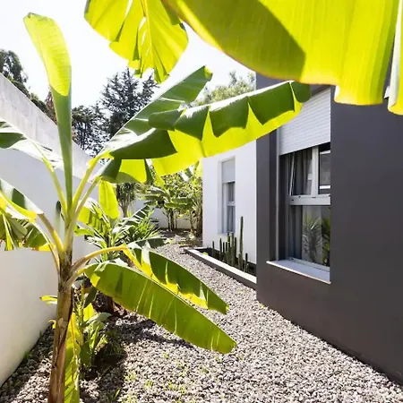 Amazing, Sea Views & Terrace Dom wakacyjny *