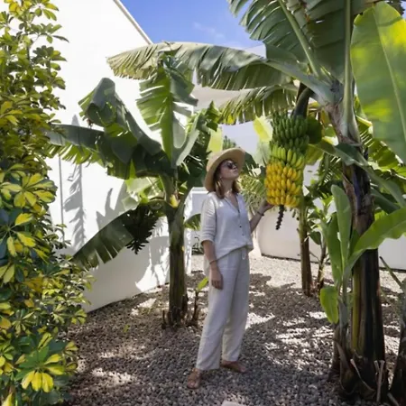 Amazing, Sea Views & Terrace Nyaraló *