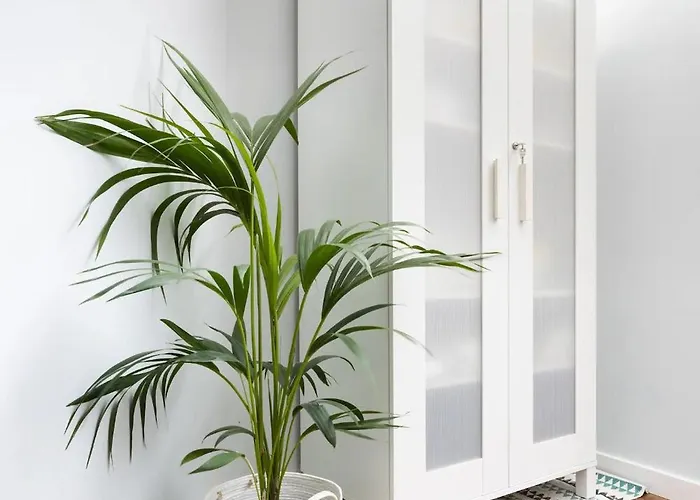 Amazing, Sea Views & Terrace Santa Úrsula