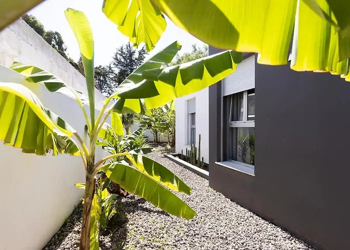 Amazing, Sea Views & Terrace Nyaraló *