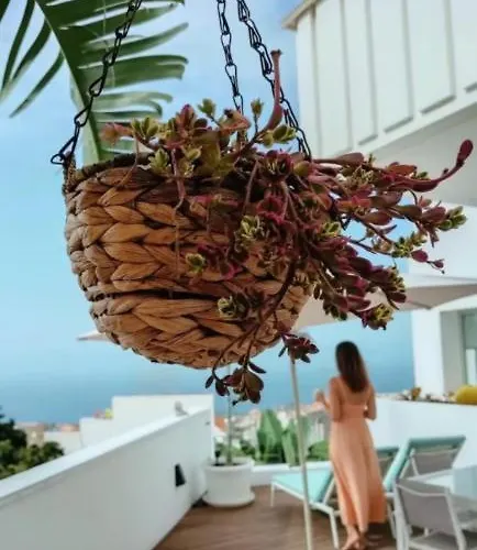 Amazing, Sea Views & Terrace Nyaraló Santa Úrsula