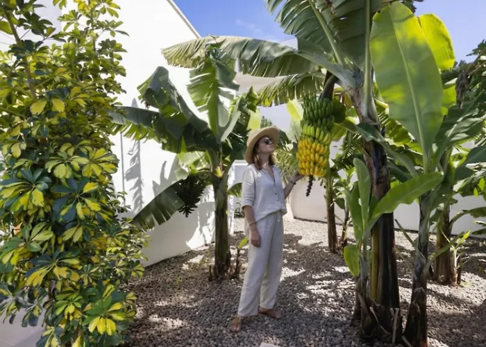 Amazing, Sea Views & Terrace Nyaraló *