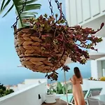 Amazing, Sea Views & Terrace Nyaraló Santa Úrsula